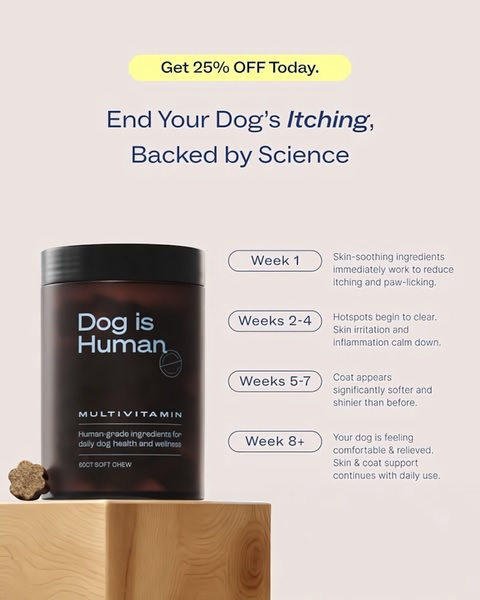 A clean, minimalist 4:5 ad creative that uses a week-by-week timeline to visually demonstrate the long-term benefits of dog supplements.